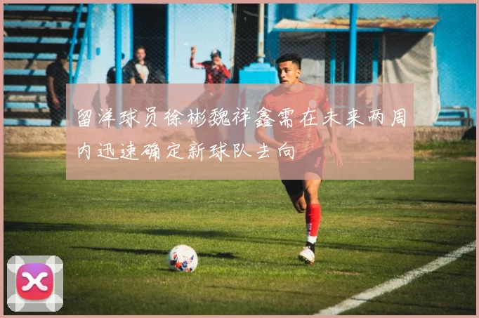 留洋球员徐彬魏祥鑫需在未来两周内迅速确定新球队去向