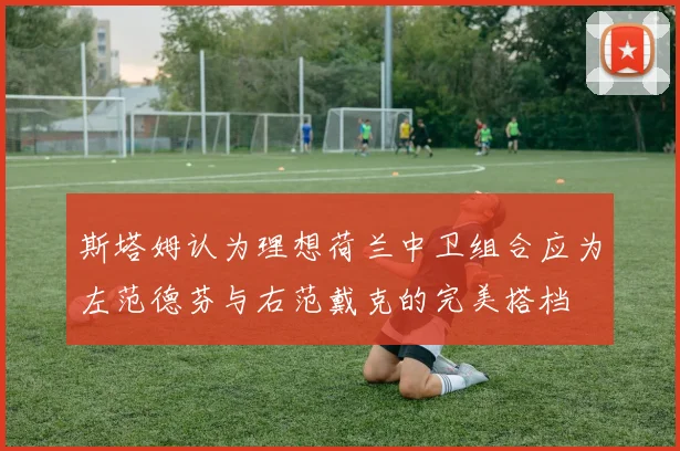 斯塔姆认为理想荷兰中卫组合应为左范德芬与右范戴克的完美搭档